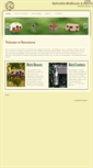 Mobile Screenshot of barnstormonline.com